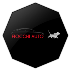 ottagono-fiocchi-auto-logo ottagono-fiocchi-auto-logo